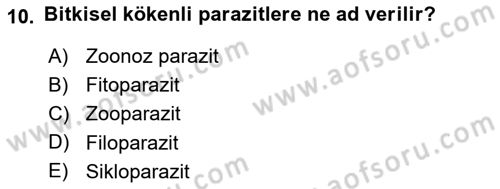 Temel Veteriner Parazitoloji Dersi 2023 - 2024 Yılı (Vize) Ara Sınavı 10. Soru