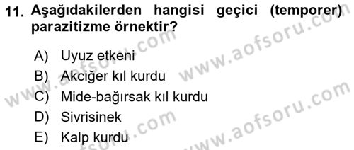 Temel Veteriner Parazitoloji Dersi 2023 - 2024 Yılı (Vize) Ara Sınavı 11. Soru