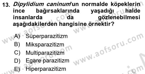 Temel Veteriner Parazitoloji Dersi 2023 - 2024 Yılı (Vize) Ara Sınavı 13. Soru