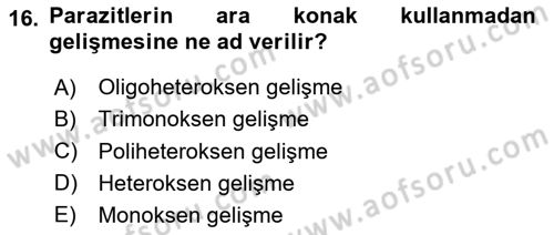 Temel Veteriner Parazitoloji Dersi 2023 - 2024 Yılı (Vize) Ara Sınav Soruları 16. Soru