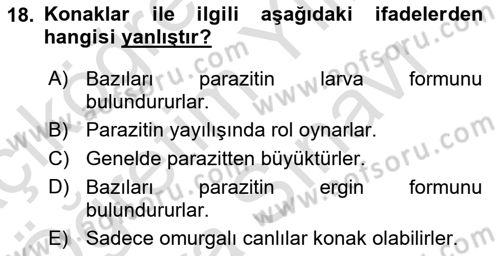 Temel Veteriner Parazitoloji Dersi 2023 - 2024 Yılı (Vize) Ara Sınavı 18. Soru