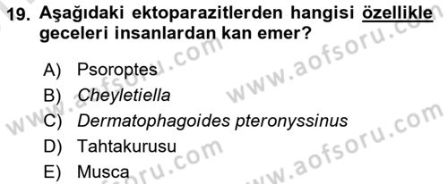 Temel Veteriner Parazitoloji Dersi 2023 - 2024 Yılı (Vize) Ara Sınav Soruları 19. Soru
