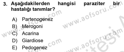 Temel Veteriner Parazitoloji Dersi 2023 - 2024 Yılı (Vize) Ara Sınav Soruları 3. Soru