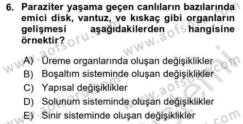 Temel Veteriner Parazitoloji Dersi 2023 - 2024 Yılı (Vize) Ara Sınav Soruları 6. Soru