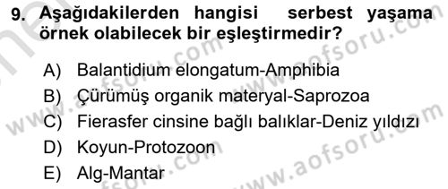 Temel Veteriner Parazitoloji Dersi 2023 - 2024 Yılı (Vize) Ara Sınav Soruları 9. Soru