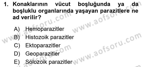 Temel Veteriner Parazitoloji Dersi 2023 - 2024 Yılı (Final) Dönem Sonu Sınav Soruları 1. Soru