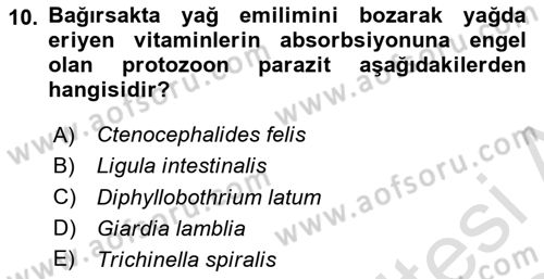 Temel Veteriner Parazitoloji Dersi 2023 - 2024 Yılı (Final) Dönem Sonu Sınav Soruları 10. Soru