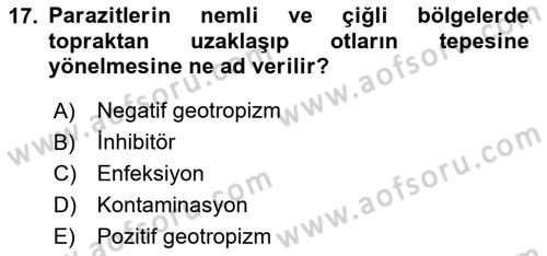 Temel Veteriner Parazitoloji Dersi 2023 - 2024 Yılı (Final) Dönem Sonu Sınav Soruları 17. Soru