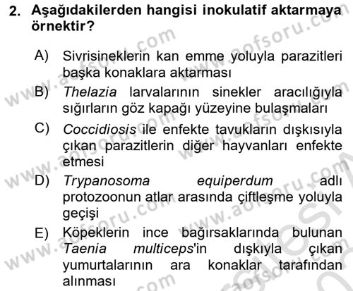 Temel Veteriner Parazitoloji Dersi 2023 - 2024 Yılı (Final) Dönem Sonu Sınav Soruları 2. Soru