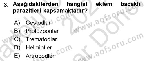 Temel Veteriner Parazitoloji Dersi 2023 - 2024 Yılı (Final) Dönem Sonu Sınav Soruları 3. Soru