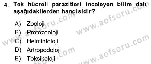 Temel Veteriner Parazitoloji Dersi 2023 - 2024 Yılı (Final) Dönem Sonu Sınav Soruları 4. Soru