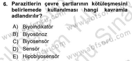 Temel Veteriner Parazitoloji Dersi 2023 - 2024 Yılı (Final) Dönem Sonu Sınav Soruları 6. Soru