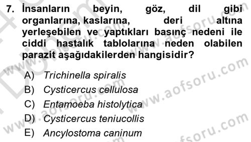 Temel Veteriner Parazitoloji Dersi 2023 - 2024 Yılı (Final) Dönem Sonu Sınav Soruları 7. Soru