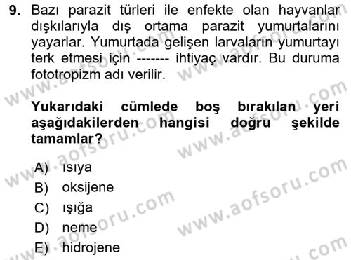 Temel Veteriner Parazitoloji Dersi 2023 - 2024 Yılı (Final) Dönem Sonu Sınav Soruları 9. Soru