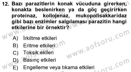 Temel Veteriner Parazitoloji Dersi 2023 - 2024 Yılı Yaz Okulu Sınav Soruları 12. Soru
