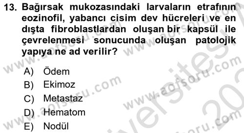 Temel Veteriner Parazitoloji Dersi 2023 - 2024 Yılı Yaz Okulu Sınav Soruları 13. Soru