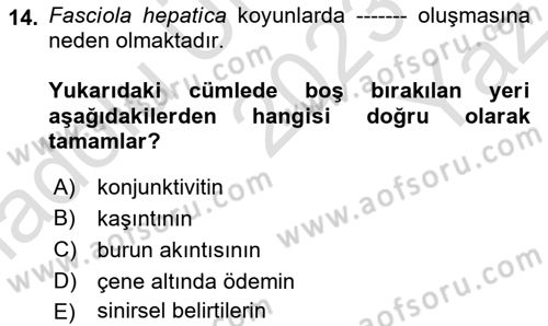 Temel Veteriner Parazitoloji Dersi 2023 - 2024 Yılı Yaz Okulu Sınav Soruları 14. Soru