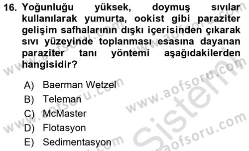 Temel Veteriner Parazitoloji Dersi 2023 - 2024 Yılı Yaz Okulu Sınav Soruları 16. Soru