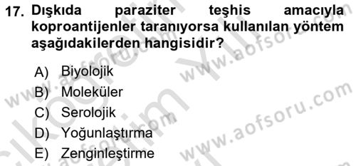 Temel Veteriner Parazitoloji Dersi 2023 - 2024 Yılı Yaz Okulu Sınav Soruları 17. Soru