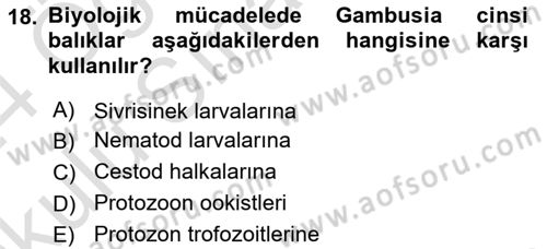 Temel Veteriner Parazitoloji Dersi 2023 - 2024 Yılı Yaz Okulu Sınav Soruları 18. Soru