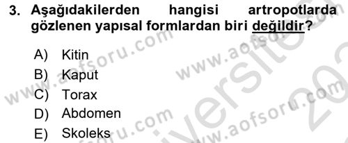 Temel Veteriner Parazitoloji Dersi 2023 - 2024 Yılı Yaz Okulu Sınav Soruları 3. Soru