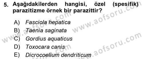 Temel Veteriner Parazitoloji Dersi 2023 - 2024 Yılı Yaz Okulu Sınav Soruları 5. Soru