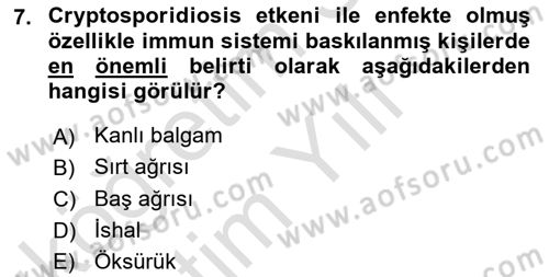 Temel Veteriner Parazitoloji Dersi 2023 - 2024 Yılı Yaz Okulu Sınav Soruları 7. Soru