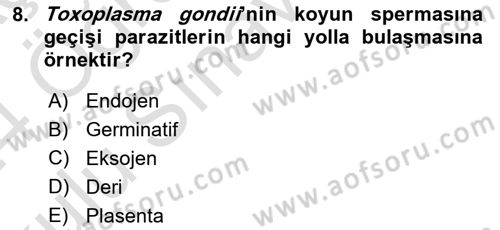 Temel Veteriner Parazitoloji Dersi 2023 - 2024 Yılı Yaz Okulu Sınav Soruları 8. Soru