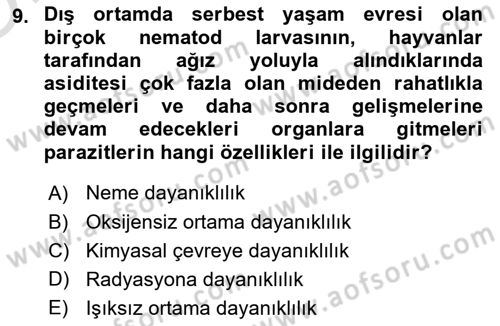 Temel Veteriner Parazitoloji Dersi 2023 - 2024 Yılı Yaz Okulu Sınav Soruları 9. Soru