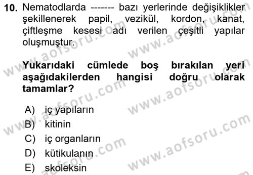 Temel Veteriner Parazitoloji Dersi 2024 - 2025 Yılı (Vize) Ara Sınav Soruları 10. Soru