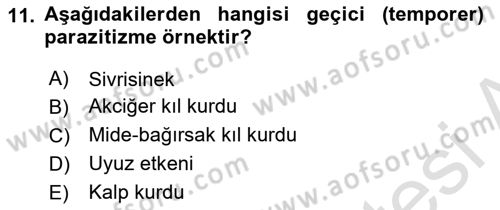 Temel Veteriner Parazitoloji Dersi 2024 - 2025 Yılı (Vize) Ara Sınav Soruları 11. Soru