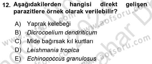 Temel Veteriner Parazitoloji Dersi 2024 - 2025 Yılı (Vize) Ara Sınav Soruları 12. Soru