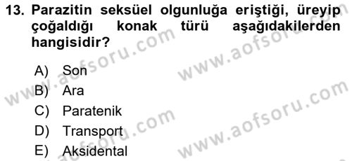 Temel Veteriner Parazitoloji Dersi 2024 - 2025 Yılı (Vize) Ara Sınav Soruları 13. Soru