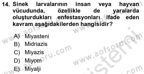 Temel Veteriner Parazitoloji Dersi 2024 - 2025 Yılı (Vize) Ara Sınav Soruları 14. Soru