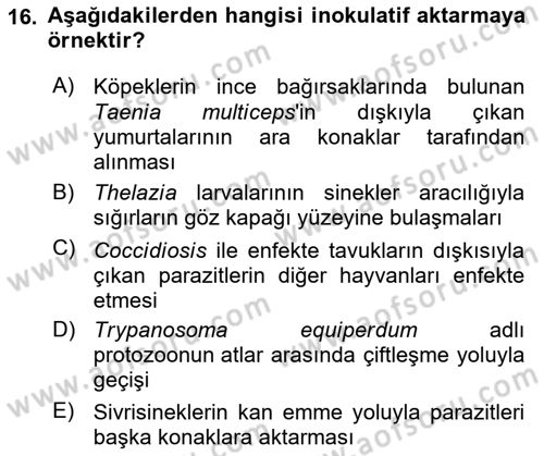 Temel Veteriner Parazitoloji Dersi 2024 - 2025 Yılı (Vize) Ara Sınav Soruları 16. Soru