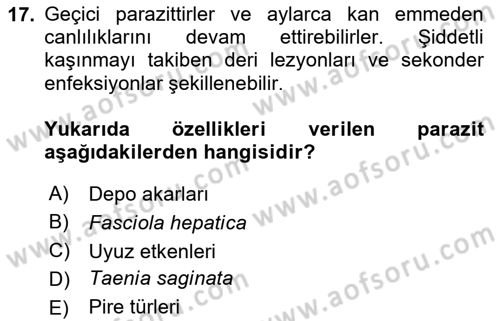 Temel Veteriner Parazitoloji Dersi 2024 - 2025 Yılı (Vize) Ara Sınav Soruları 17. Soru