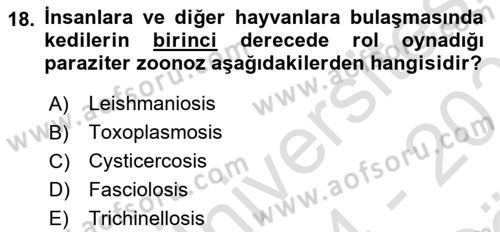 Temel Veteriner Parazitoloji Dersi 2024 - 2025 Yılı (Vize) Ara Sınav Soruları 18. Soru