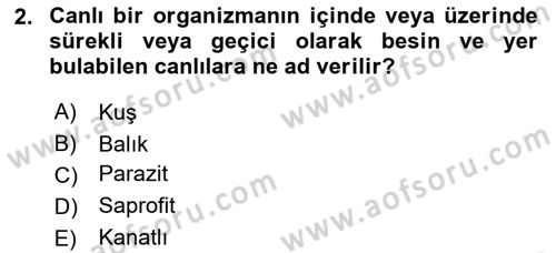 Temel Veteriner Parazitoloji Dersi 2024 - 2025 Yılı (Vize) Ara Sınav Soruları 2. Soru