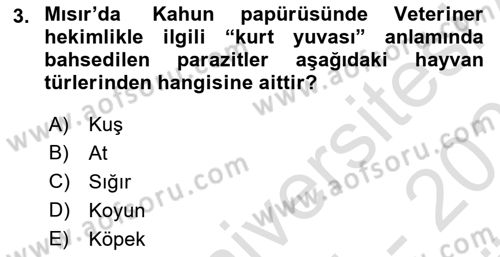 Temel Veteriner Parazitoloji Dersi 2024 - 2025 Yılı (Vize) Ara Sınav Soruları 3. Soru