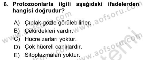 Temel Veteriner Parazitoloji Dersi 2024 - 2025 Yılı (Vize) Ara Sınav Soruları 6. Soru