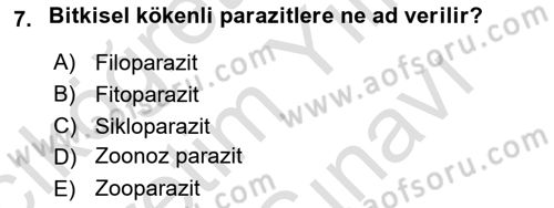 Temel Veteriner Parazitoloji Dersi 2024 - 2025 Yılı (Vize) Ara Sınav Soruları 7. Soru