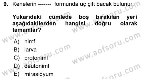 Temel Veteriner Parazitoloji Dersi 2024 - 2025 Yılı (Vize) Ara Sınav Soruları 9. Soru