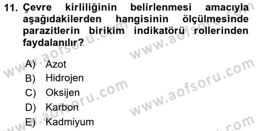 Temel Veteriner Parazitoloji Dersi 2024 - 2025 Yılı (Final) Dönem Sonu Sınav Soruları 11. Soru