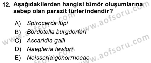 Temel Veteriner Parazitoloji Dersi Dönem Sonu Sınavı Deneme Sınav Soruları 12. Soru