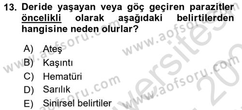 Temel Veteriner Parazitoloji Dersi 2024 - 2025 Yılı (Final) Dönem Sonu Sınav Soruları 13. Soru