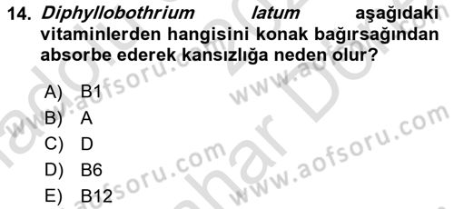 Temel Veteriner Parazitoloji Dersi 2024 - 2025 Yılı (Final) Dönem Sonu Sınav Soruları 14. Soru