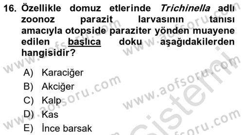 Temel Veteriner Parazitoloji Dersi Dönem Sonu Sınavı Deneme Sınav Soruları 16. Soru