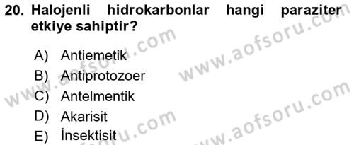 Temel Veteriner Parazitoloji Dersi Dönem Sonu Sınavı Deneme Sınav Soruları 20. Soru