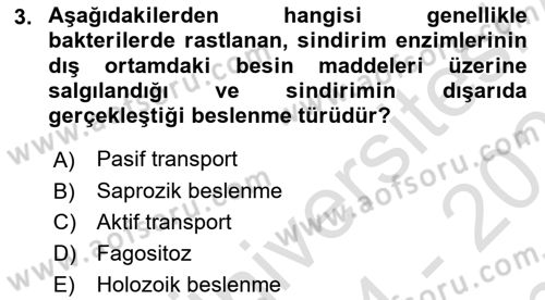 Temel Veteriner Parazitoloji Dersi 2024 - 2025 Yılı (Final) Dönem Sonu Sınav Soruları 3. Soru