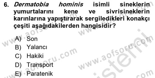 Temel Veteriner Parazitoloji Dersi Dönem Sonu Sınavı Deneme Sınav Soruları 6. Soru